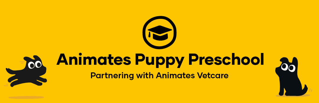 Proud Animates Vetcare Puppy Preschool Graduates