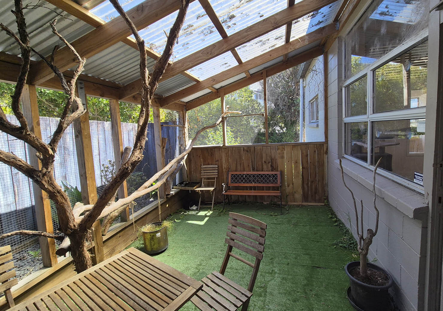 The Catio